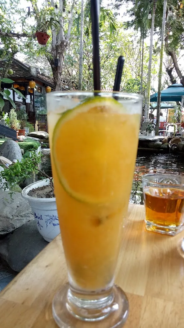 Ly nước cam có lát cam trang trí bên hồ cá trong không gian quán xanh mát