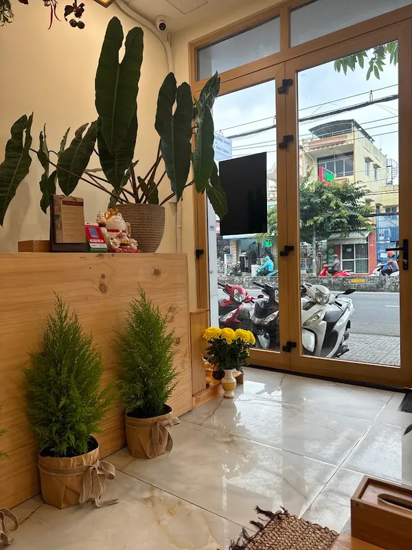 Spa reception area with potted plants and a glass street-facing entrance
