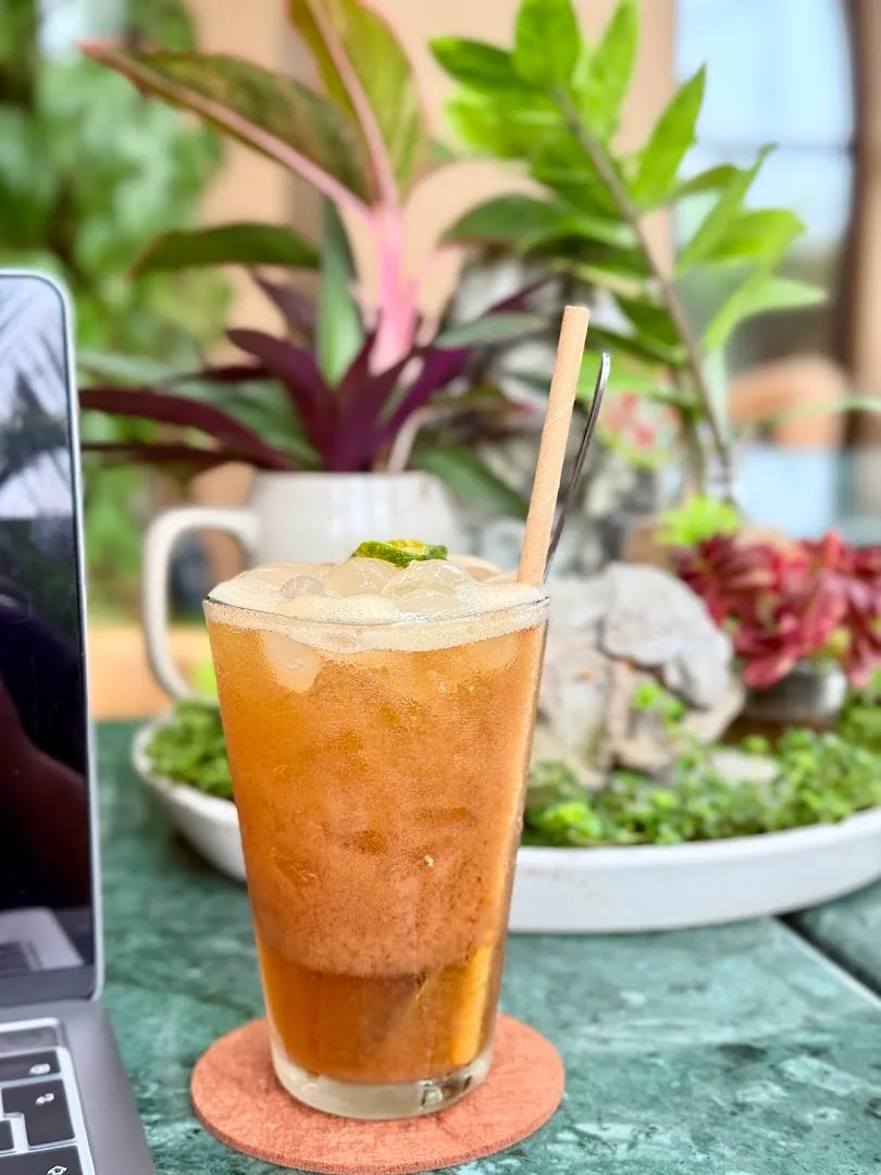 Ly đồ uống màu cam có đá, đặt trên bàn cạnh nhiều chậu cây.