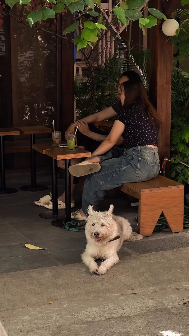 Không gian ngồi ngoài trời với bàn ghế gỗ, cây xanh và một chú chó.